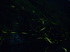 光跡