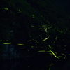 光跡