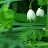 雨上がり