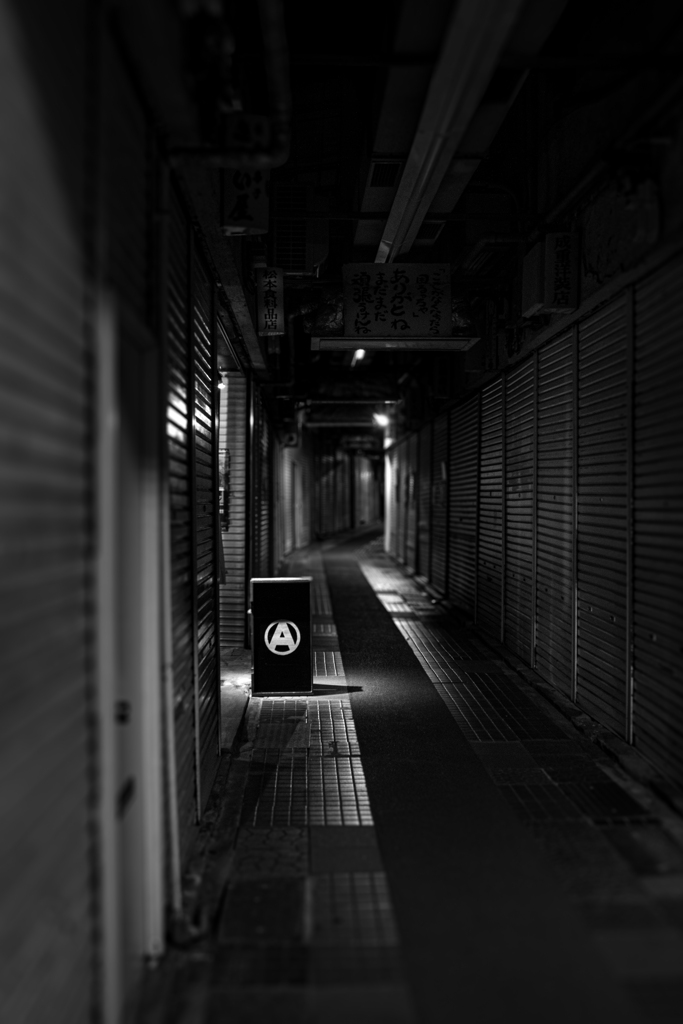 ∻　静寂　∻