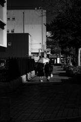 日傘