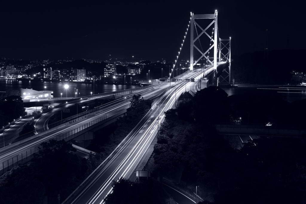 monochrome　the　night