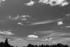 夏空