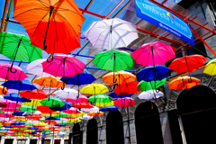 umbrella　street