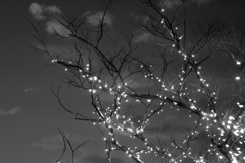 illumination