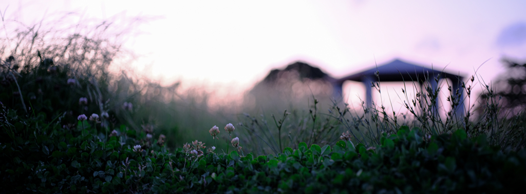 夕暮れ