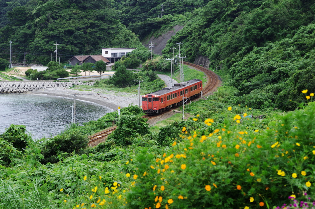 山陰の旅