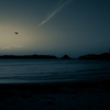 ～翼～　（inspiration）