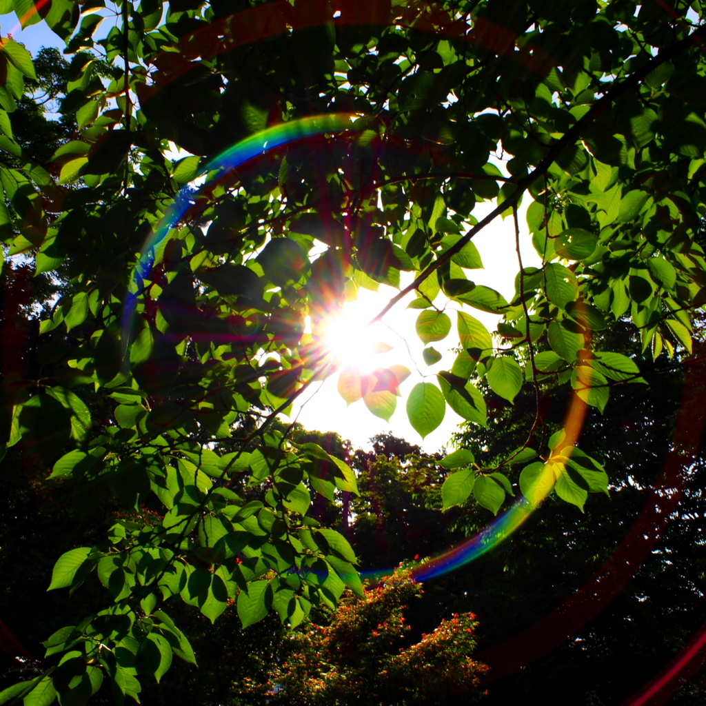 rainbow circle