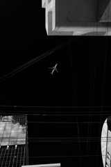 空