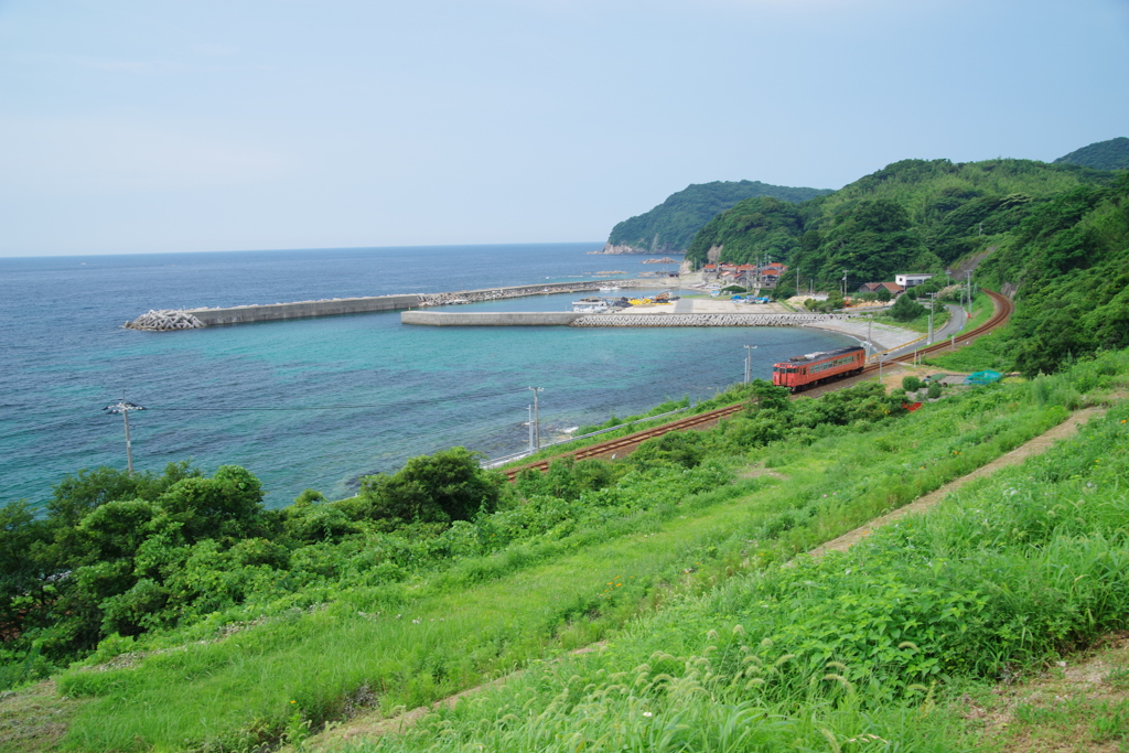 日常の光景