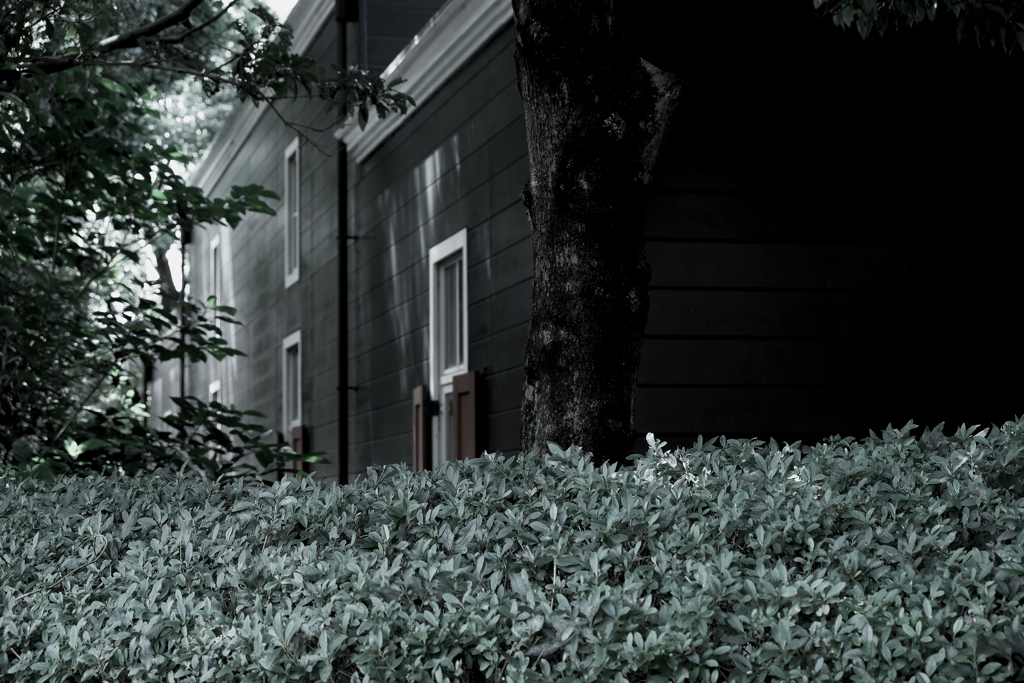 心地好い風と光り