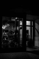 monochrome　night