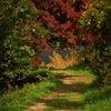 country road