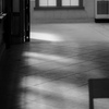 穏やかな光り