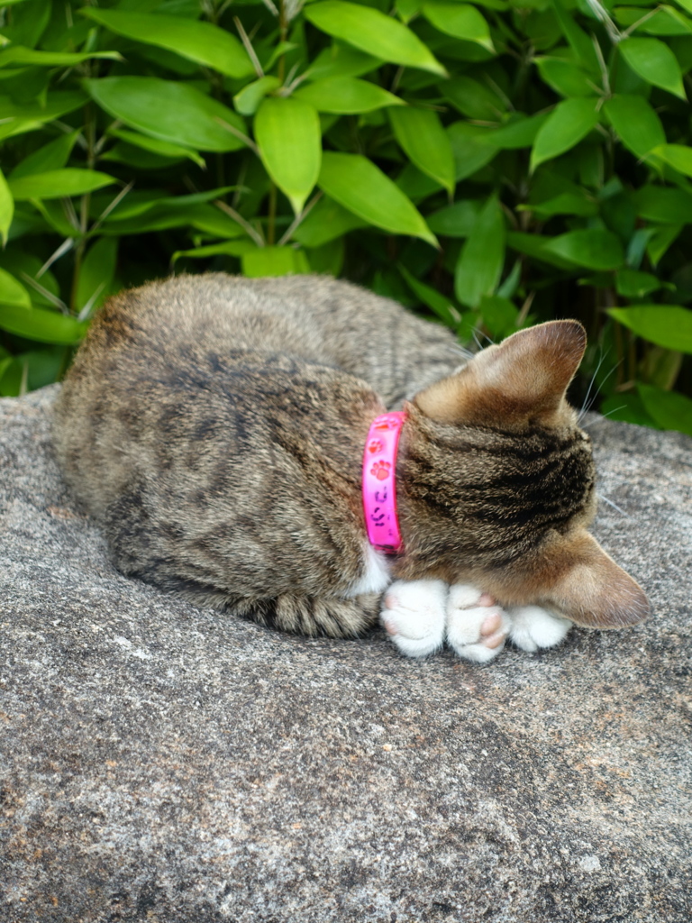 小さな寝息～すや・すや～