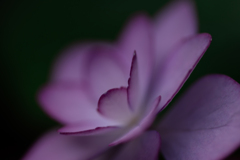 陽炎