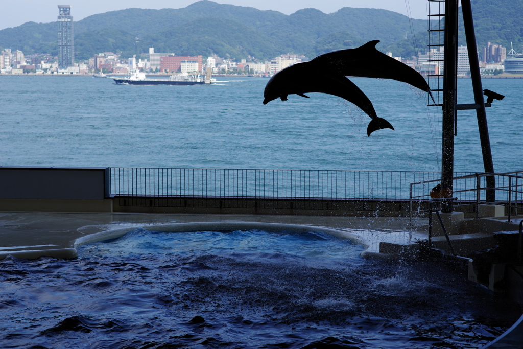 jump