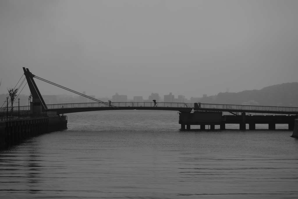 walking in the rain　(雨に煙る跳ね橋）