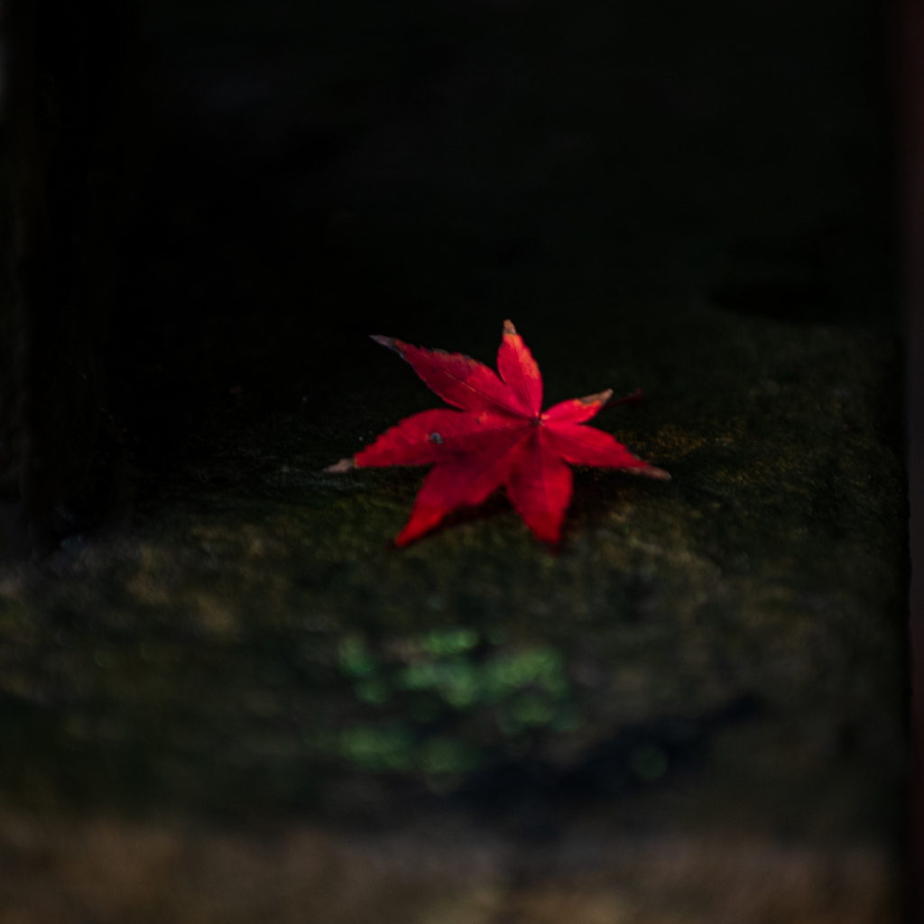 深紅