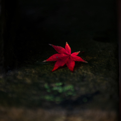 深紅