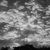 輝く雲