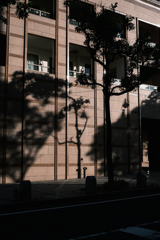 街に映る影
