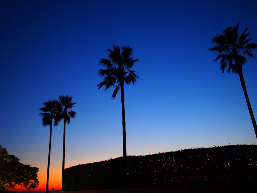 蒼い空