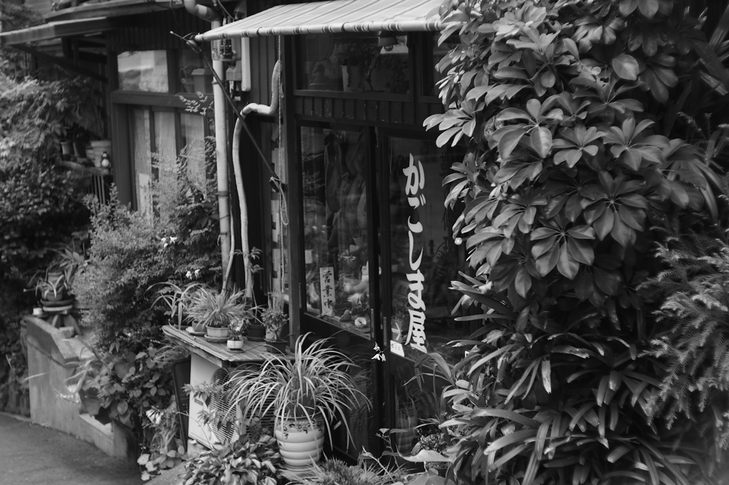 路地裏の店