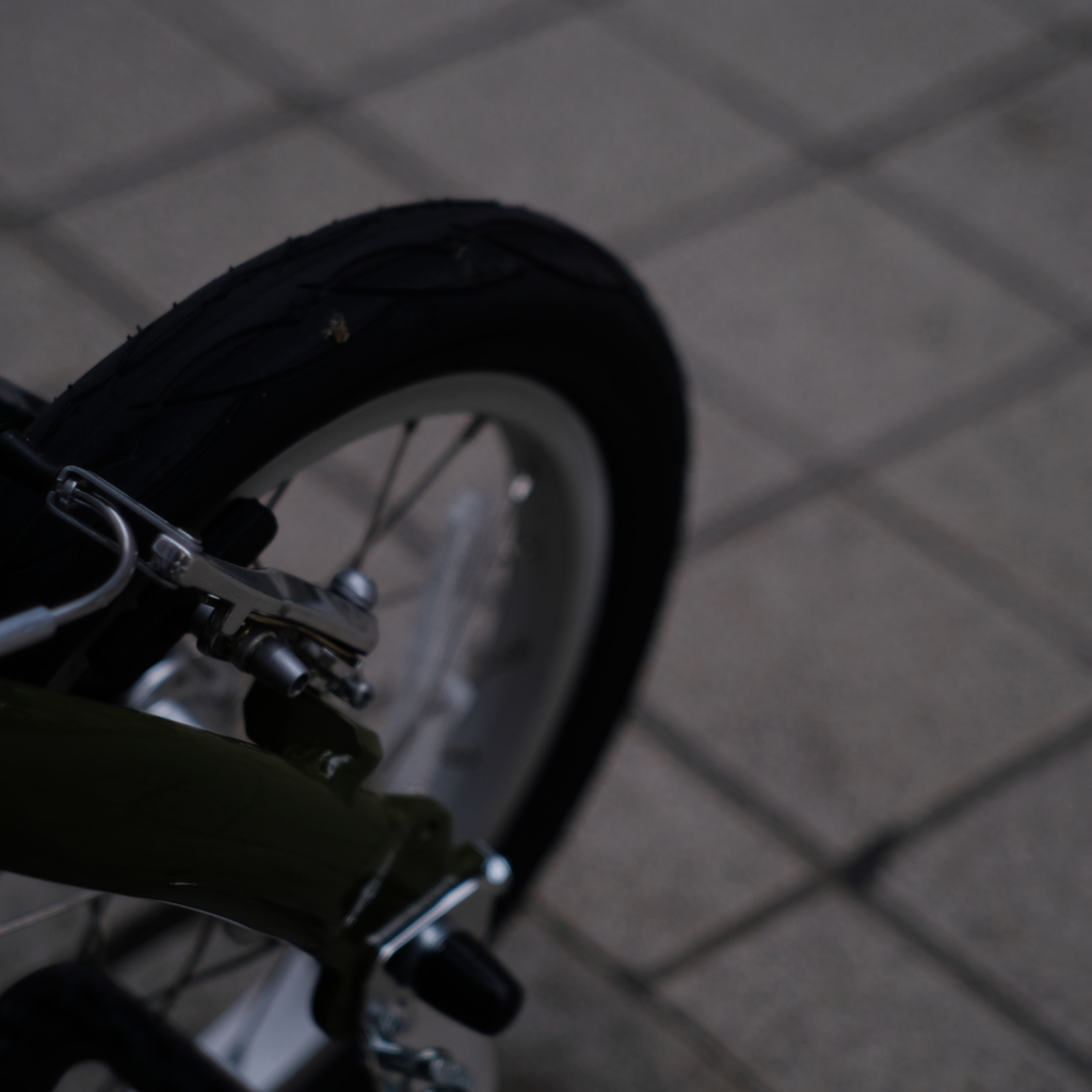 今日は自転車に乗って・・・