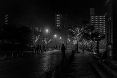 夜霧に包まれて