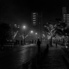 夜霧に包まれて