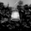 窓に映る光景