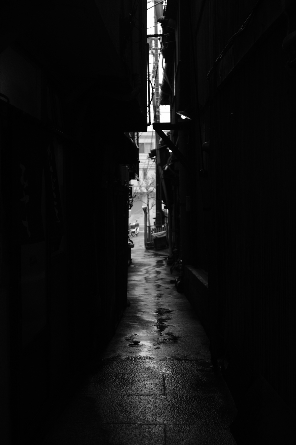 雨の路地裏 by 日青 （ID：6009962） 写真共有サイトPHOTOHITO