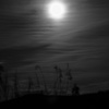 朧月夜