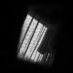 鏡写し