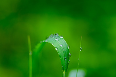 雨上がり