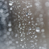 雨の休日