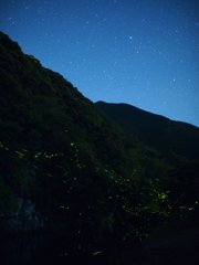 星と蛍の共演
