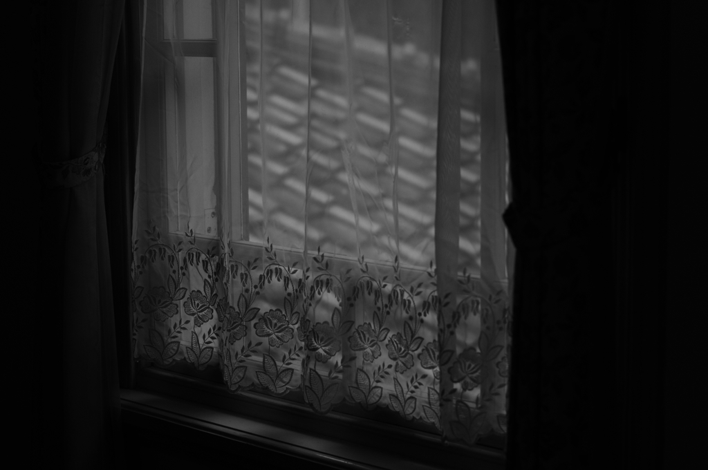 やわらかな光り