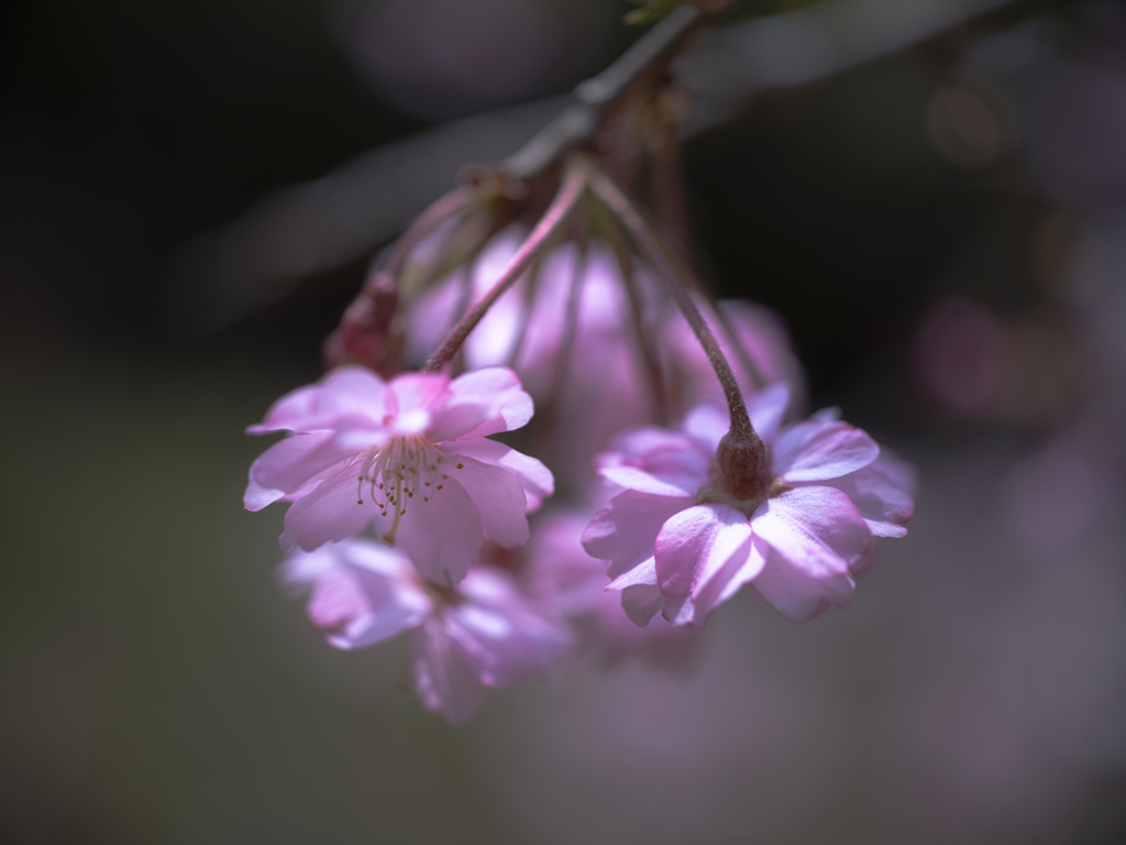俯く