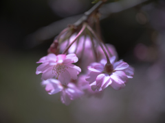 俯く
