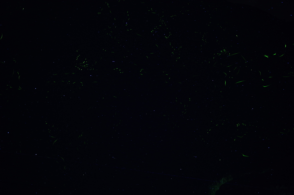 星と戯れる