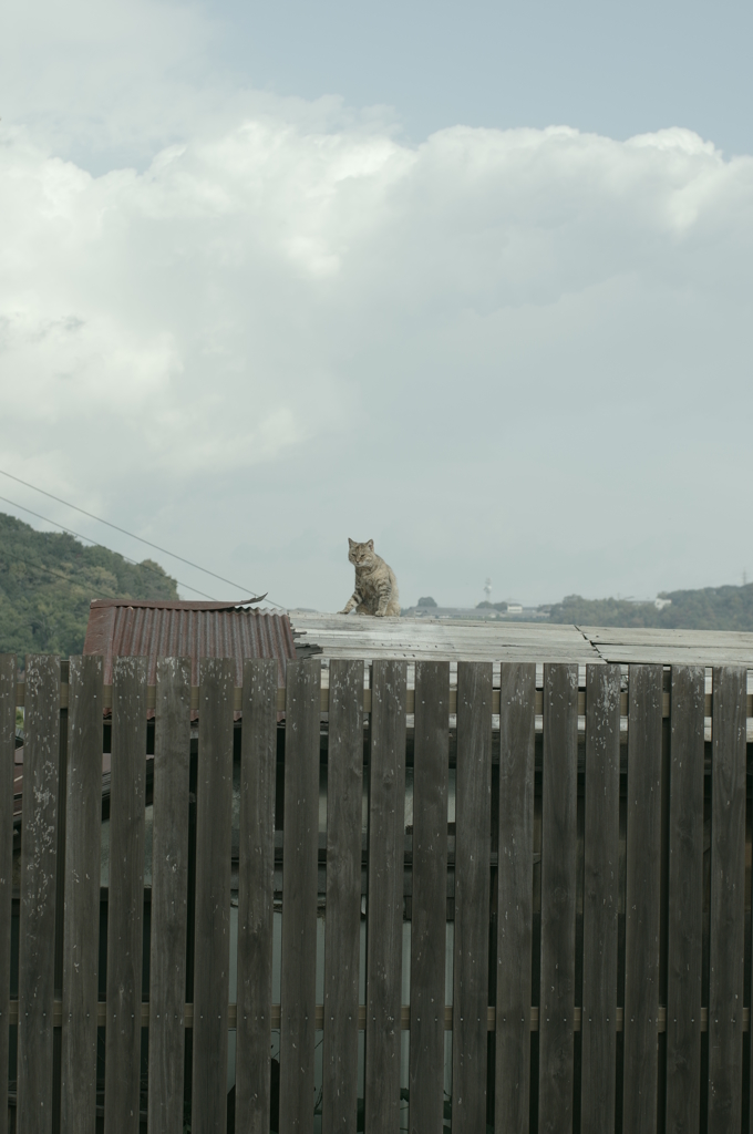 空に近い特等席