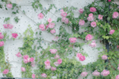 雨模様