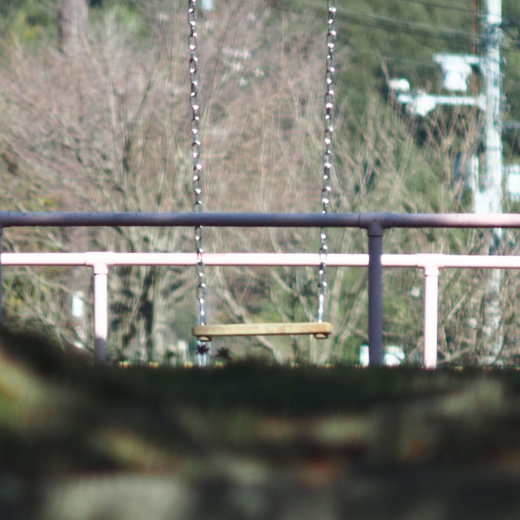 陽射しと戯れる