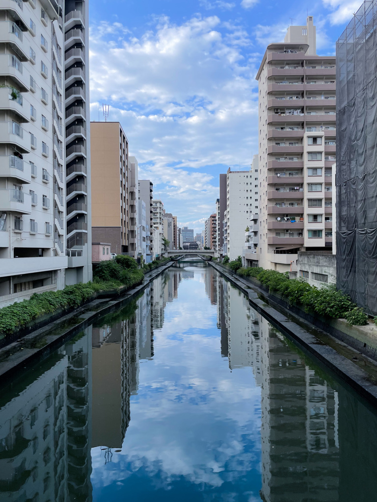 夏の川