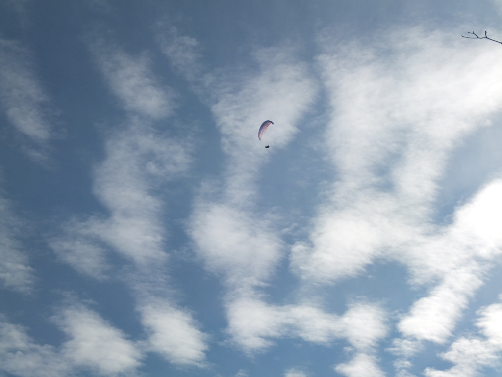 冬空の散歩