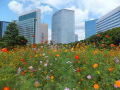 浜離宮恩賜公園