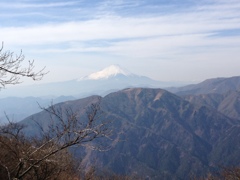 大山山頂からの富士山